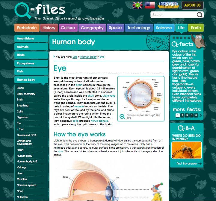 Q-files.com Screenshot