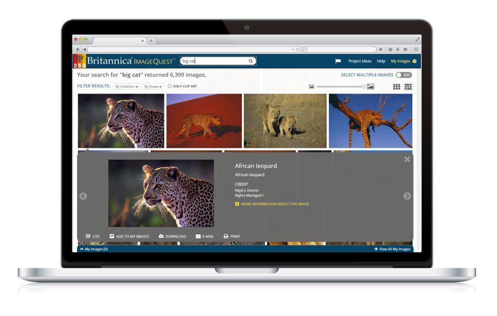 Britannica ImageQuest Screenshot