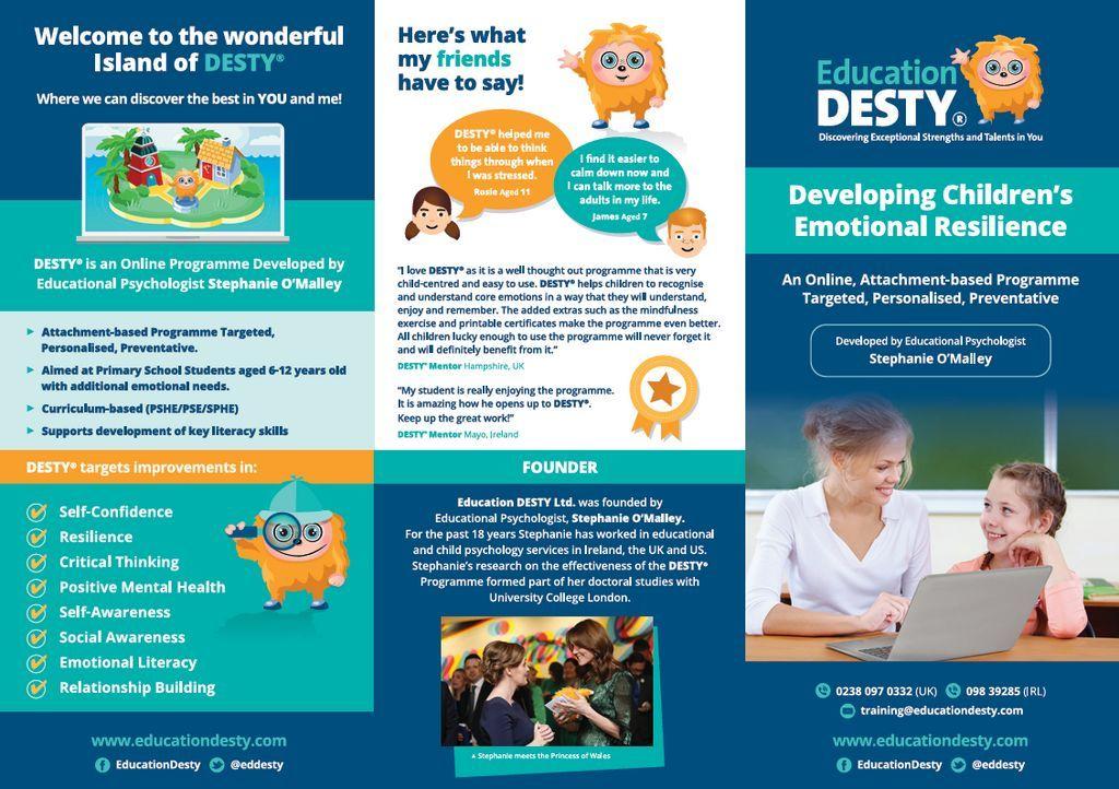 DESTY Island Emotional Resilience Programme Screenshot