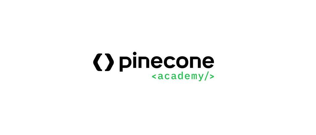 Pinecone Coding Academy Screenshot